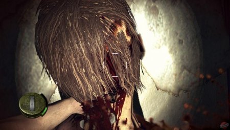 The Walking Dead Survival Instinct